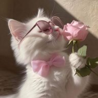 🎀anime